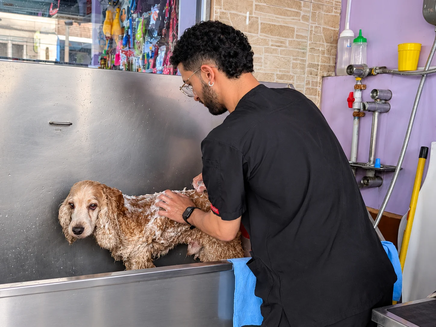 Grooming: baños y cortes en Charming Vet